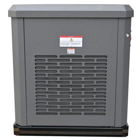 Газовый генератор EVOline GNG 13500 E