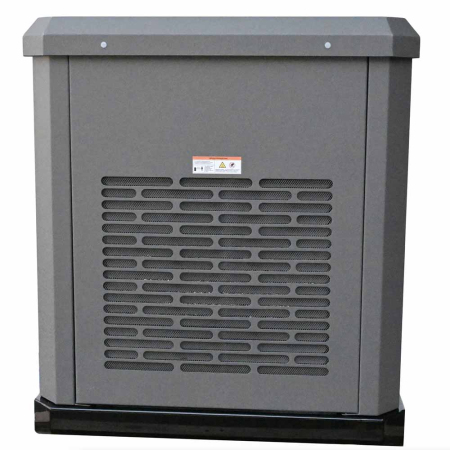 Газовый генератор EVOline GNG 19000 E